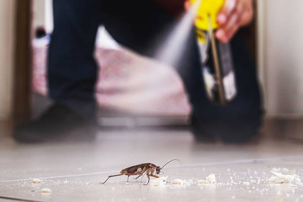 Best Pest Removal Services  in One Loudoun, VA