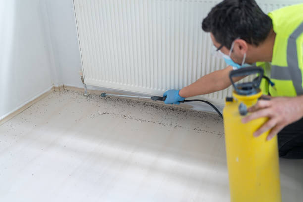 Best Emergency Pest Control  in One Loudoun, VA